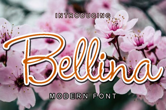 Bellina: A Romantic Script Handwritten Typeface for Editorial Design