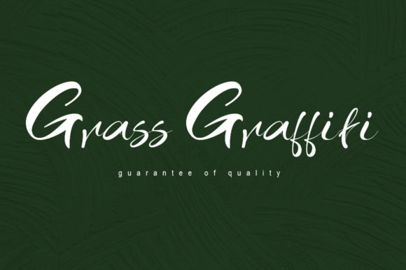 Grass Graffiti Font Review for Handmade Branding