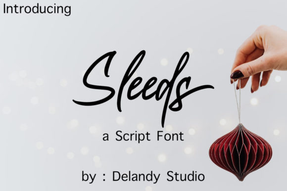 Sleeds: The Script Handwritten Font for Festive Brand Identity